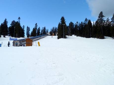 Skigebiete für Anfänger im Metro Vancouver – Anfänger Mount Seymour