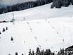 Skigebiete für Anfänger in den Französischen Alpen – Anfänger Espace Diamant – Les Saisies/Notre-Dame-de-Bellecombe/Praz sur Arly/Flumet/Crest-Voland