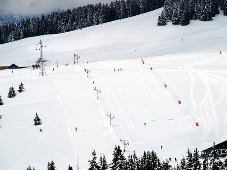 Skigebiete für Anfänger im Département Haute-Savoie – Anfänger Espace Diamant – Les Saisies/Notre-Dame-de-Bellecombe/Praz sur Arly/Flumet/Crest-Voland