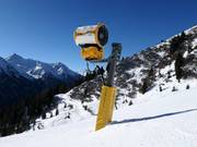 Leistungsstarke Beschneiung