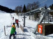 Höflealplift - Tellerlift