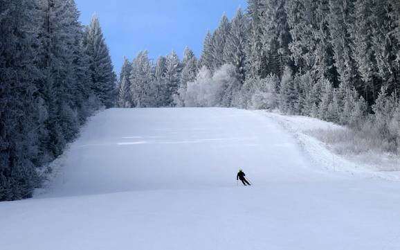 Skigebiete für Könner und Freeriding Südböhmische Region (Jihočeský kraj) – Könner, Freerider Lipno
