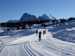 Seiser Alm (Alpe di Siusi)