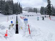 Übungsbereich am Förderband Porcupine