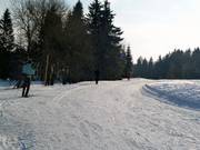 Loipe an der Bleamlalm