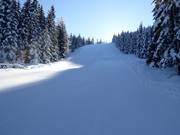 Kurze, schwarze Piste Grebenzenschuss