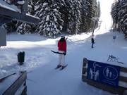 Bärenbadlift - Schlepplift mit T-Bügel/Anker