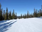 Ganz leichte Piste im Skigebiet Trysil