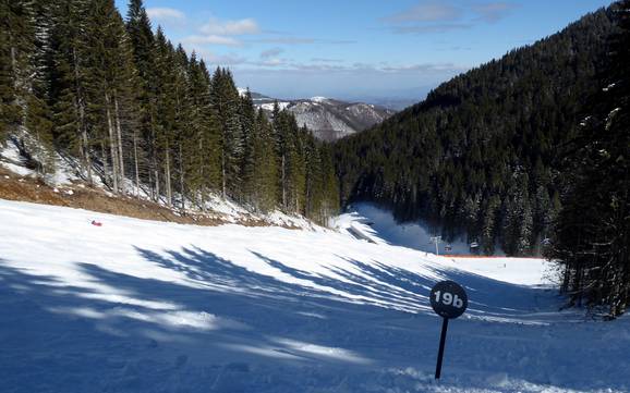 Skigebiete für Könner und Freeriding Šumadija und Westserbien – Könner, Freerider Kopaonik