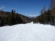 Märchenwald-Abfahrt