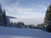 Familienabfahrt über dem Nebel