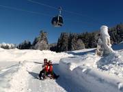 Tipp für die Kleinen  - Rodelbahn Hochnössler / Bifei's Hütt'n (Altenmarkt)