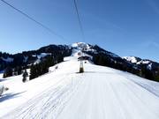 Blick zum Rinderberg in Zweisimmen