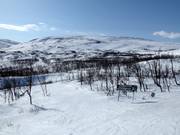 Blick vom Rakkasliften über das Skigebiet Björkliden