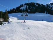 Pisten an der 6er-Sesselbahn Schrattenwang