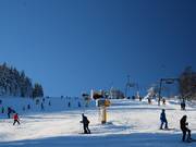 Mittelschwer: Piste am Oberen Wilddieblift