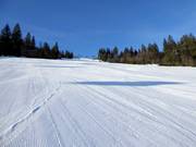 A - Böhmerwaldstrecke