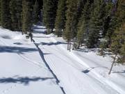 Loipe im Big Sky Resort