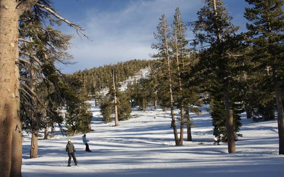 Skigebiete für Anfänger in der Carson Range – Anfänger Heavenly