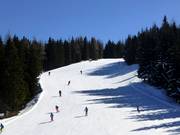 WM-Damenabfahrt auf der Planai