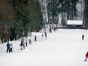 Golfplatzlift - Schlepplift mit T-Bügel/Anker