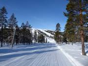 Leichte Piste in Östra Tandådalen