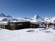 Blue Lounge Blauherd