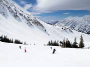 Piste an der Sesselbahn Collins