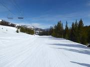 Leichte Piste Pony Express 