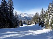 Leichte Piste Seehof