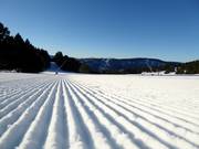 Perfekt präparierte Piste im Skigebiet Les Angles