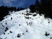 Skigebiete für Könner und Freeriding Pacific Ranges – Könner, Freerider Cypress Mountain