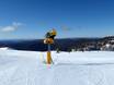 Schneesicherheit Australische Alpen – Schneesicherheit Mount Hotham