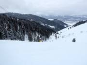 Nachhaltigkeit im Skigebiet Snow King Mountain 