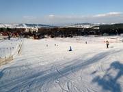 Anfängerpisten im Talbereich