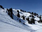 Tiefschneeabfahrten vom Hühnerspiel