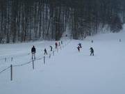 Ostalb-Babylift - Seillift/Babylift mit niederer Seilführung