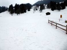 Bilder Saxeten – Pintli