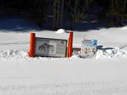 Erlebnispiste mit Informationen zu den Tieren des Waldes