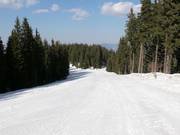 Leichte Piste in Mechi Chal