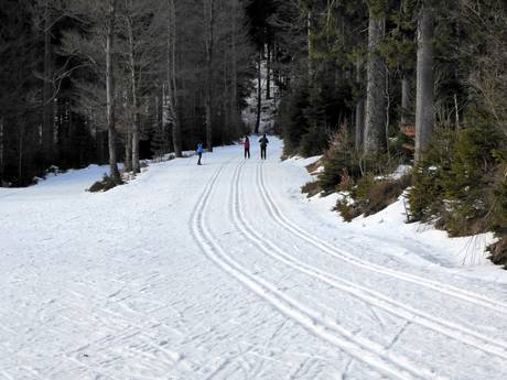 Langlauf Bayerischer Wald – Langlauf Arber