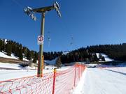 Rodellift in Fondo Piccolo