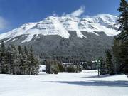 Anfängerpiste Flap Jack