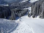 Verbindungsstück zum Bärenbadlift