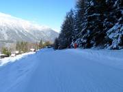 Rifenal-Abfahrt Nr. 1