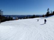 Leichte Piste Nr. 14