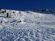 Buckelpiste am Ciampinoi