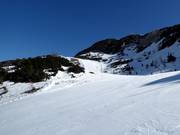 Orlove glave-Zadnji Vogel Nr. 11