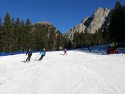 Leichte Talabfahrt Falzeben