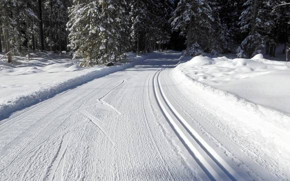 Langlauf Engelbergertal – Langlauf Titlis – Engelberg